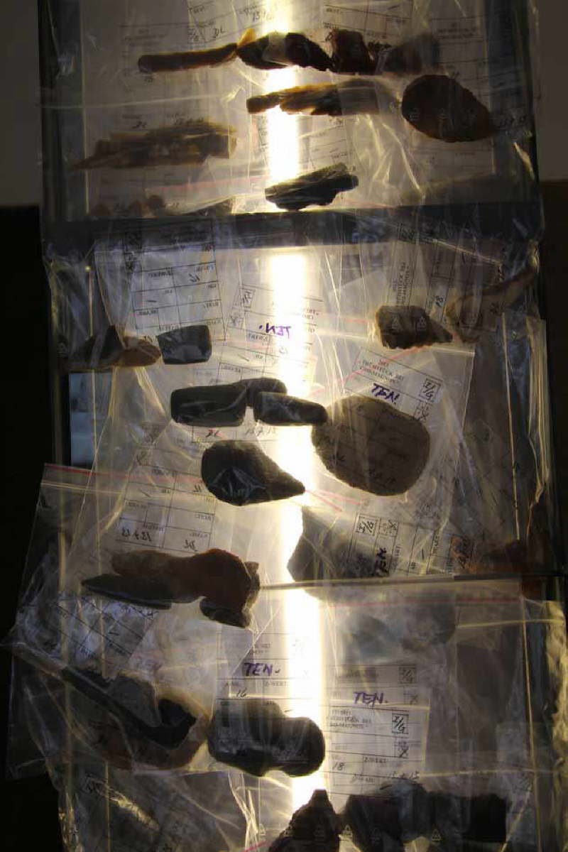 db_Ausst__Cro-Magnon2_073-presse